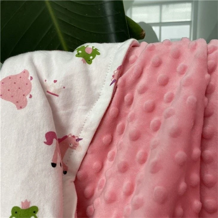 Personalized Minky Baby Blankets